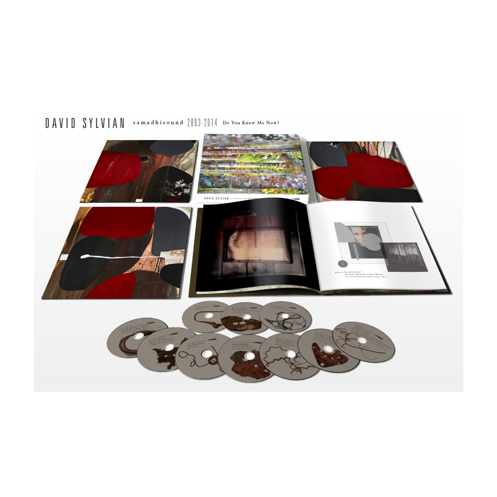 David Sylvian - Do You Know Me Now? 10CD Boxset – uDiscover Music