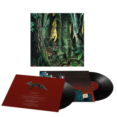 David Sylvian - Do You Know Me Now? 10CD Boxset – uDiscover Music 